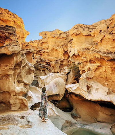 آریاپرواز 2861